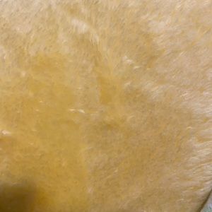 Framed Marilyn Monroe pics